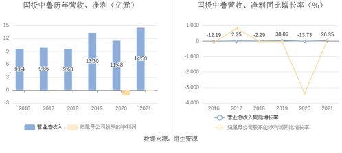 国投中鲁 2021年亏损1947.22万元